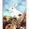 “A Longa Jornada” Richard Adams