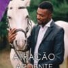 «Atração Ardente» Brenda Jackson