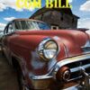 «Aventuras Com Bill» Tracilyn George