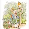 “A história de Pedro Coelho” Beatrix Potter